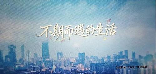 不期而遇的生活,邂逅生活中的意外惊喜