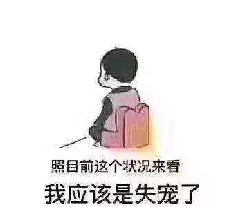 你回来了,探寻故土新颜