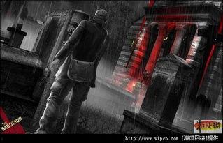 破坏者,剖析其行为模式与心理动机